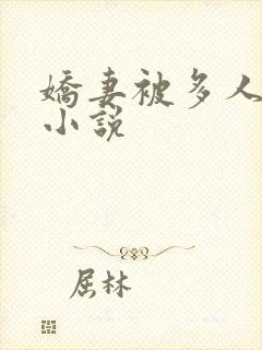 娇妻被多人调教小说