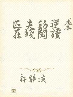 匹夫的逆袭小说在线阅读