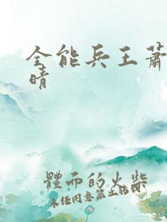 全能兵王萧晨苏晴