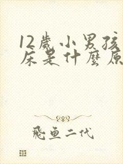 12岁小男孩尿床是什么原因