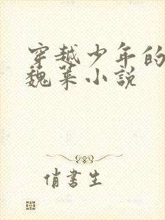 穿越少年的你娶魏莱小说