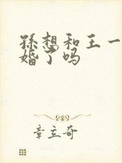 孙想和王一冰结婚了吗