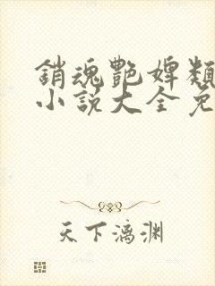 销魂艳婢类似的小说大全免费阅读