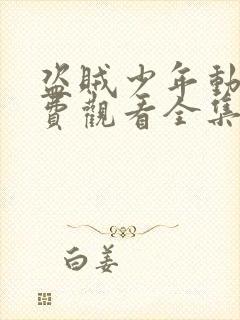 盗贼少年动漫免费观看全集高清