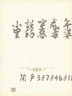 小说穿成年代文里的恶毒婆婆