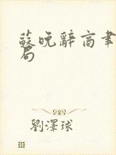 苏晚辞商聿深结局