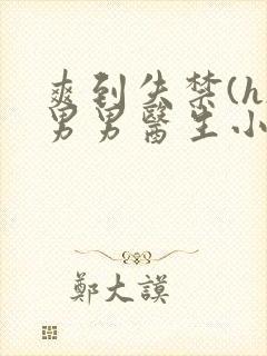 爽到失禁(h)男男医生小说