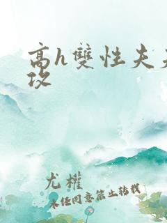 高h双性夫夫总攻