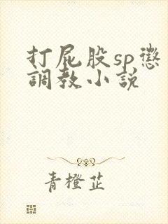 打屁股sp惩罚调教小说