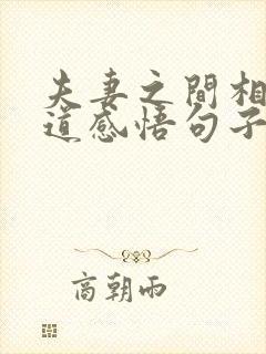 夫妻之间相处之道感悟句子