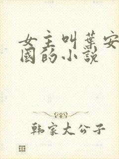 女主叫叶安叶卫国的小说