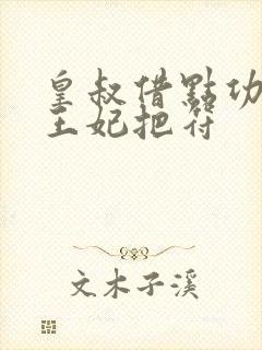 皇叔借点功德,王妃把符