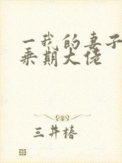 一我的妻子是大乘期大佬