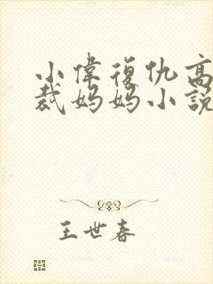 小伟复仇高冷总裁妈妈小说