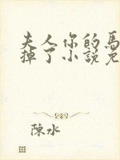 夫人你的马甲又掉了小说免费阅读全文