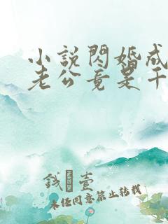 小说闪婚成宠,老公竟是千亿大佬