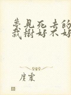 梦见死去的亲人栽树好不好