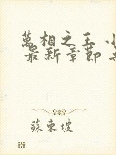 万相之王 小说 最新章节 无弹窗