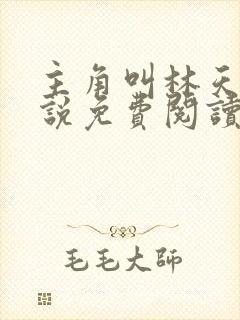 主角叫林天的小说免费阅读