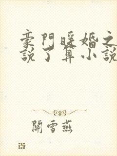 豪门暖婚之夫人说了算小说免费阅读