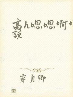 高h嗯嗯啊啊小说