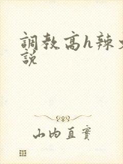 调教高h辣文小说