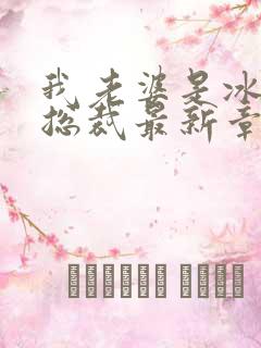 我老婆是冰山女总裁最新章节小说