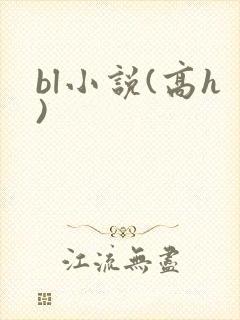 bl小说(高h)