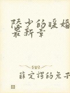 陆少的暖婚新妻最新章