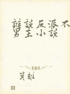 谁说反派不能当男主小说