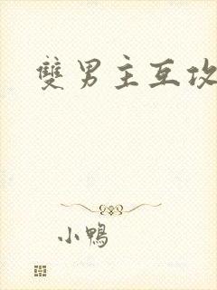 双男主互攻h
