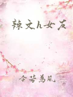 辣文h女友