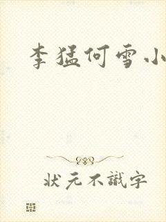 李猛何雪小说