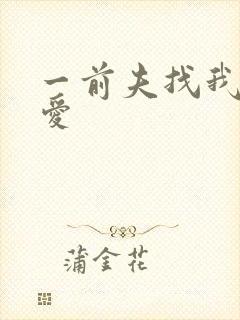 一前夫找我谈恋爱