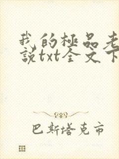 我的极品老婆小说txt全文下载