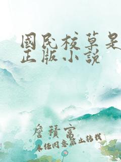 国民校草是女生正版小说