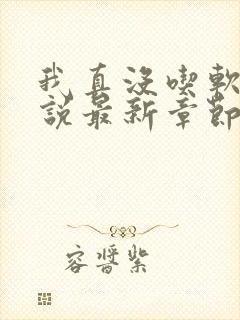 我真没吃软饭小说最新章节免费阅读全文