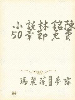 小说林铭陈佳450章节免费阅读