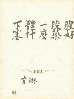 下体一股腥臭味塞什么药好