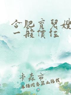 合肥育儿嫂白班一般价位