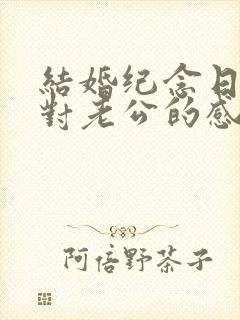 结婚纪念日老婆对老公的感言语句