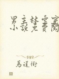 男主林云穿越的小说免费阅读