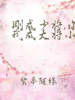 刚成少将,你让我成大将小说阅读