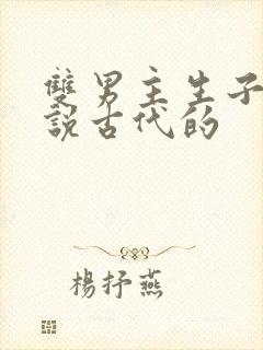双男主生子文小说古代的