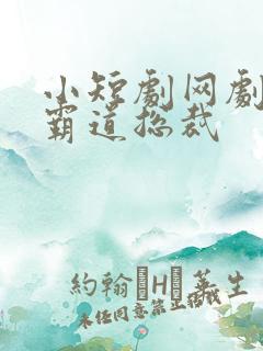 小短剧网剧大全霸道总裁