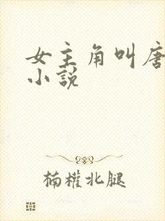 女主角叫唐棠的小说