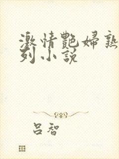 激情艳妇熟女系列小说