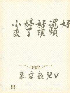 小婷好湿好紧太爽了视频