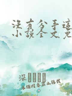 没有分手这回事小说全文免费阅读