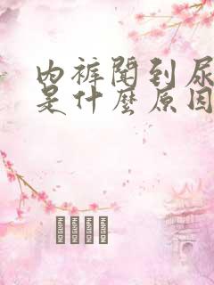 内裤闻到尿骚味是什么原因